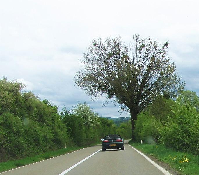 1st Belgian Octagon Tour (199).JPG